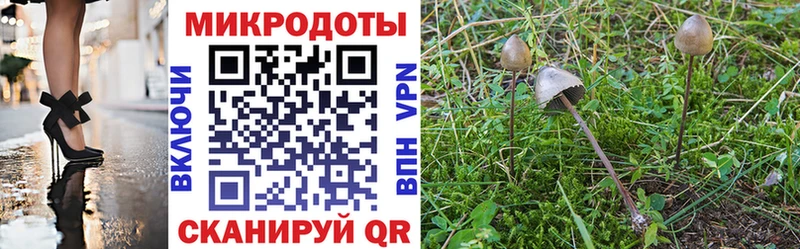 Псилоцибиновые грибы мухоморы Олёкминск