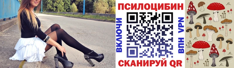 ссылка на мегу как войти  Олёкминск  Галлюциногенные грибы Psilocybe 